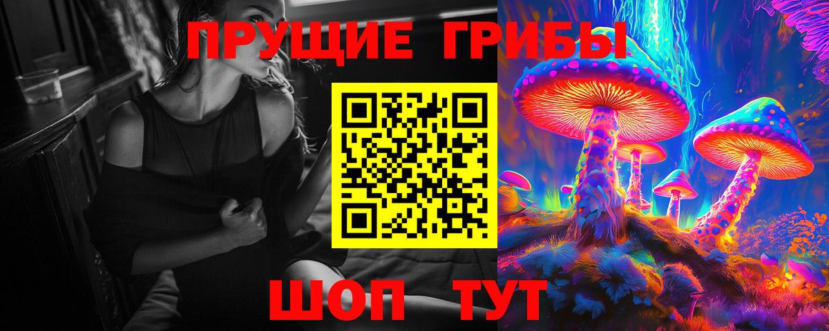 Моздок  купить наркоту  Вход с VPN  Галлюциногенные грибы GOLDEN TEACHER  Псилоцибиновые грибы прущие грибы 
