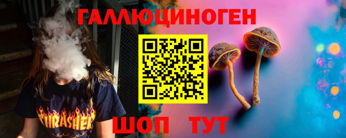 Псилоцибиновые грибы мицелий Моздок